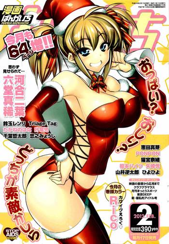 Amazing Manga Bangaichi 2012-02 Beautiful Tits