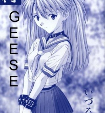 Amazing Geese- Neon genesis evangelion hentai Delicia