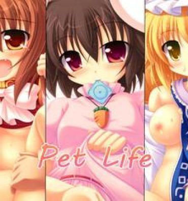 Job Pet Life- Touhou project hentai POV